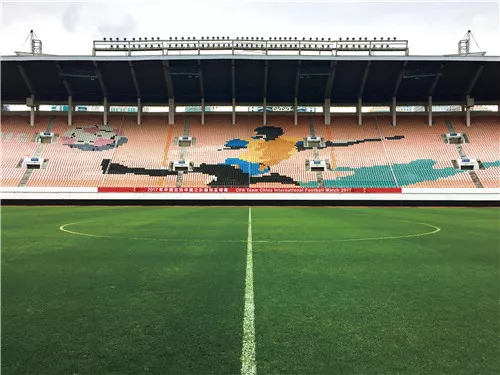  勒阿弗尔主场草皮翻新,球员适应成焦点话题  